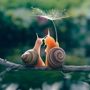 Image: Sky Rye Designs / Vyacheslav Mishchenko